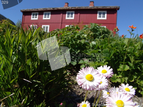 Image of Flowers and hous