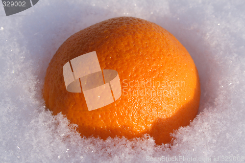 Image of orange on snow