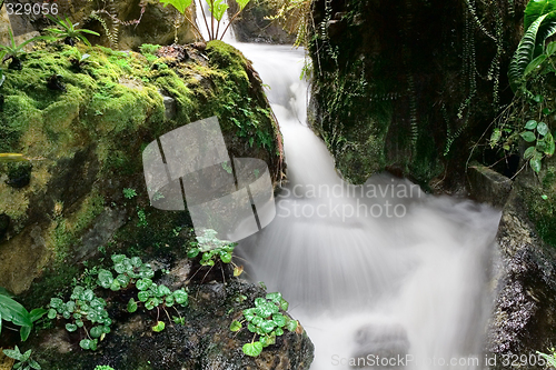 Image of Waterfall

