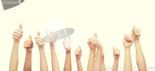 Image of hands showing thumbs up