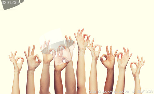 Image of human hands showing ok sign