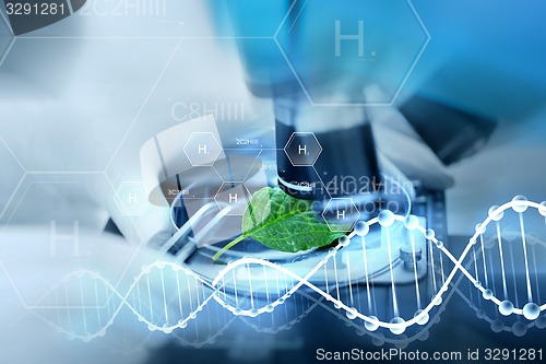 Image of close up of hand with microscope and green leaf