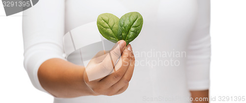 Image of closeup woman hand with green sprout