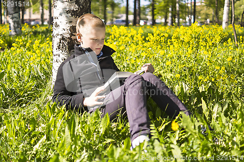 Image of Boy reading book under birch