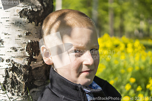 Image of Portrait of young guy under birch