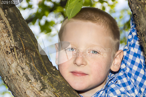 Image of Portrait of a boy in a summer foliage