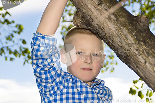 Image of Portrait of a boy in a summer nature