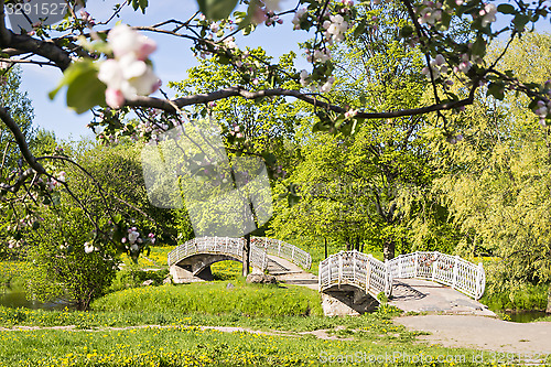 Image of Park with foot bridges through river