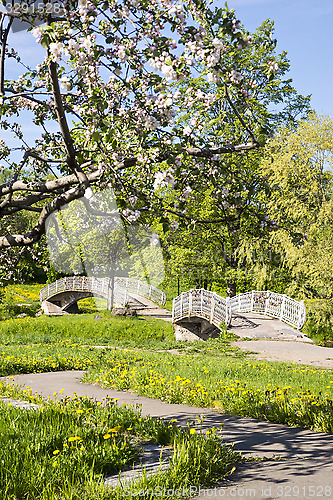 Image of Foot bridges through river in park