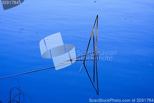 Image of straws