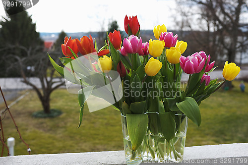 Image of yellow, red and purple tulips in a vase 