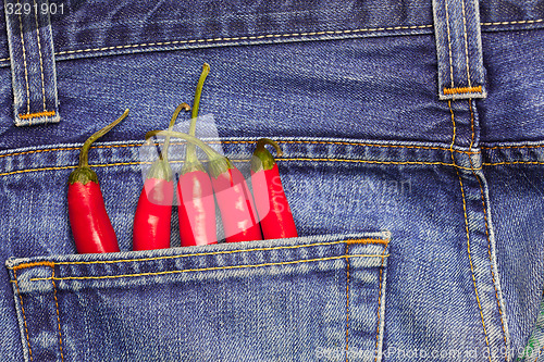 Image of hot chili peppers in a jeans pocket