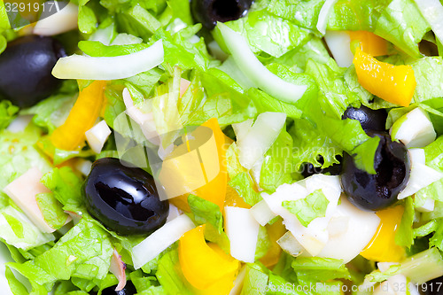 Image of Assorted green leaf lettuce with squid and black olives