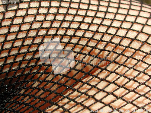 Image of body in net