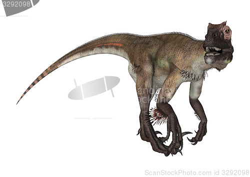 Image of Dinosaur Utahraptor