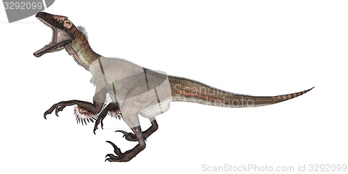 Image of Dinosaur Utahraptor