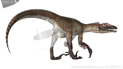 Image of Dinosaur Utahraptor