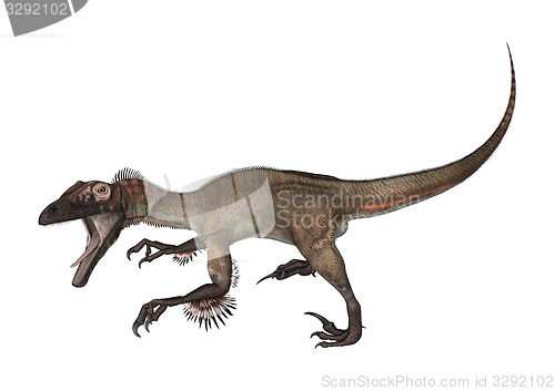 Image of Dinosaur Utahraptor