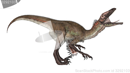 Image of Dinosaur Utahraptor