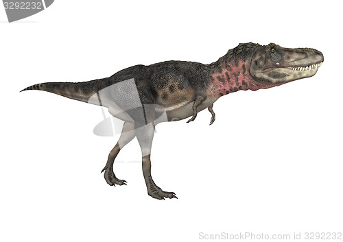 Image of Dinosaur Tarbosaurus