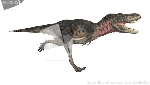 Image of Dinosaur Tarbosaurus