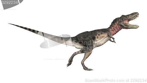 Image of Dinosaur Tarbosaurus