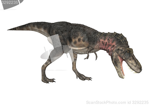 Image of Dinosaur Tarbosaurus