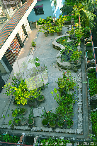 Image of Garden in house