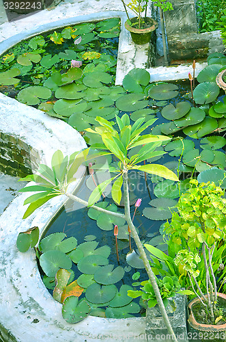 Image of Garden in house