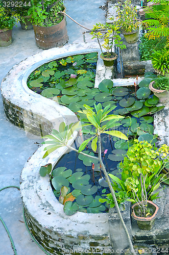 Image of Garden in house