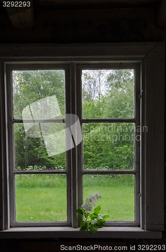 Image of View through an old window