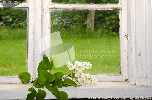 Image of White lilacs decoration