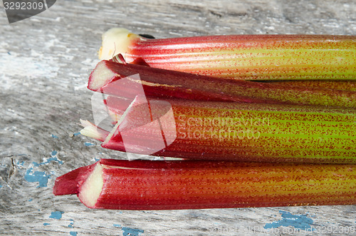 Image of Rhubarb stalks close up