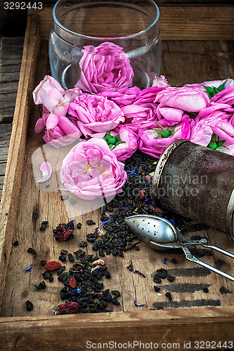 Image of tea rose