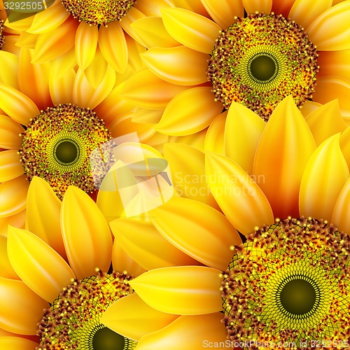 Image of Sunflowers, realistic illustration. EPS 10