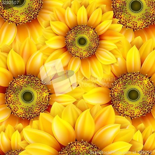 Image of Sunflowers, realistic illustration. EPS 10
