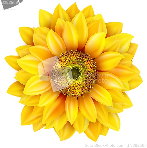 Image of Sunflower realistic illustration. EPS 10