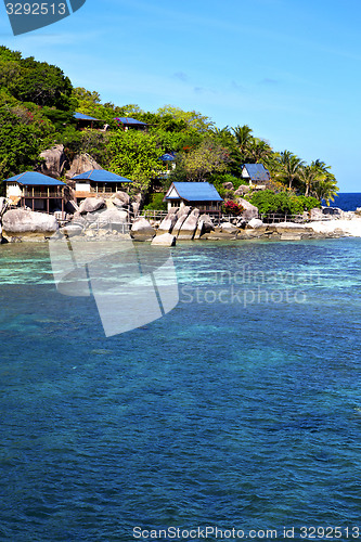 Image of  blue lagoon  stone in thailand kho tao bay abstract of a  house