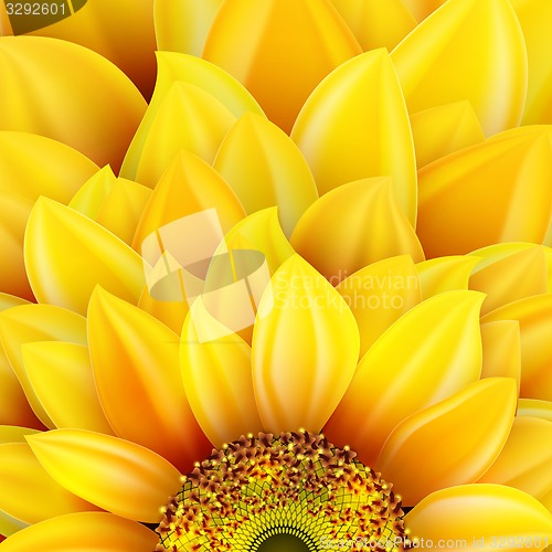 Image of Sunflower realistic illustration. EPS 10