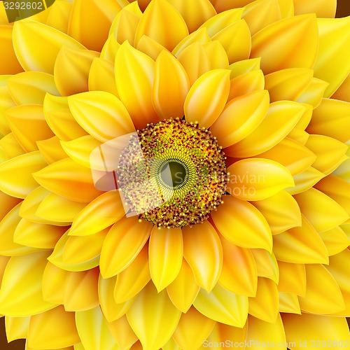 Image of Sunflower realistic illustration. EPS 10