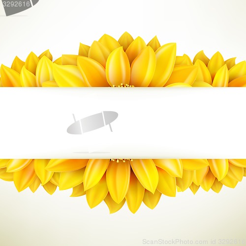 Image of Sunflower on white background. EPS 10