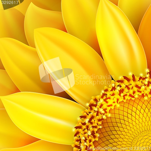 Image of Sunflower, high quality . EPS 10