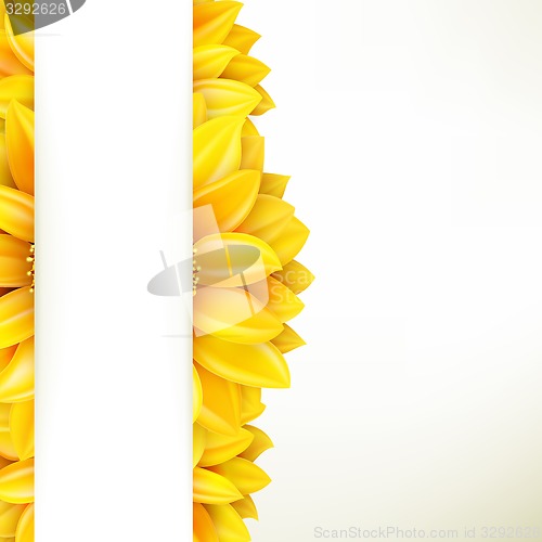 Image of Sunflower on white background. EPS 10