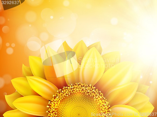 Image of Macro SunFlower Background. EPS 10