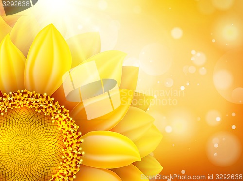 Image of Macro SunFlower Background. EPS 10