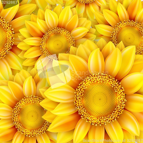Image of Sunflowers, realistic illustration. EPS 10