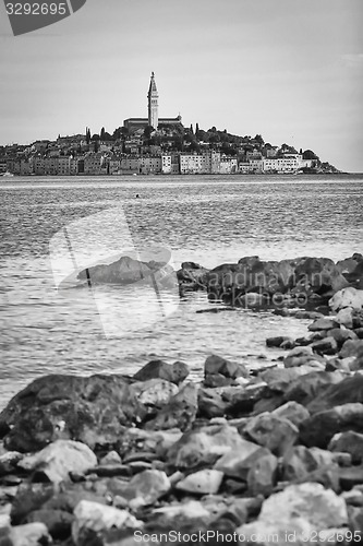 Image of View of Rovinj town bw