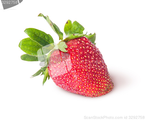 Image of Single freshly strawberries