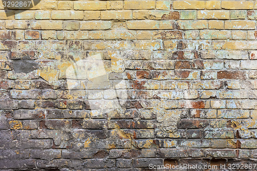 Image of Colored Brick Wall