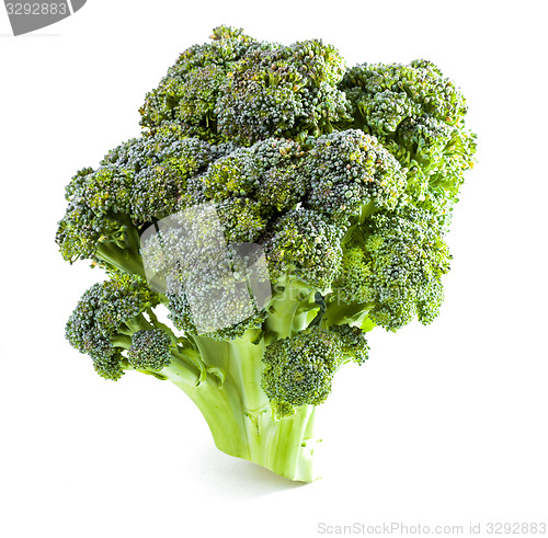 Image of ?urd. Broccoli closeup